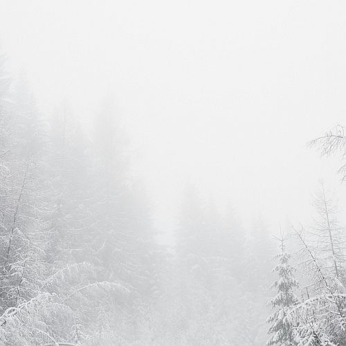 winter storms